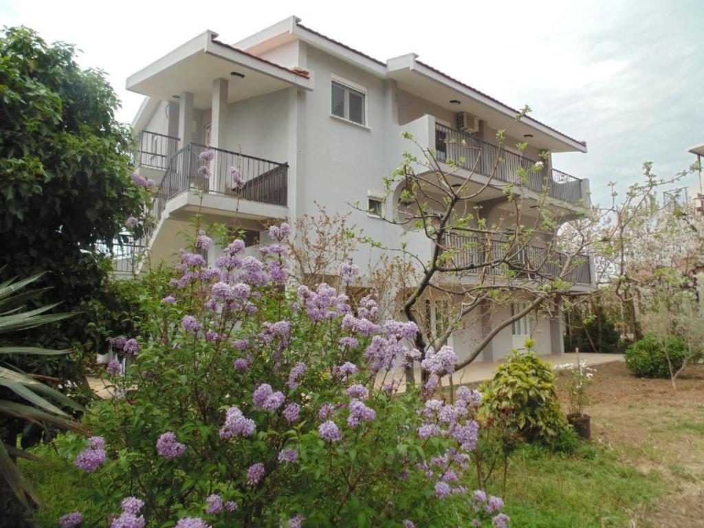 Apartments Macaso Bar Buitenkant foto