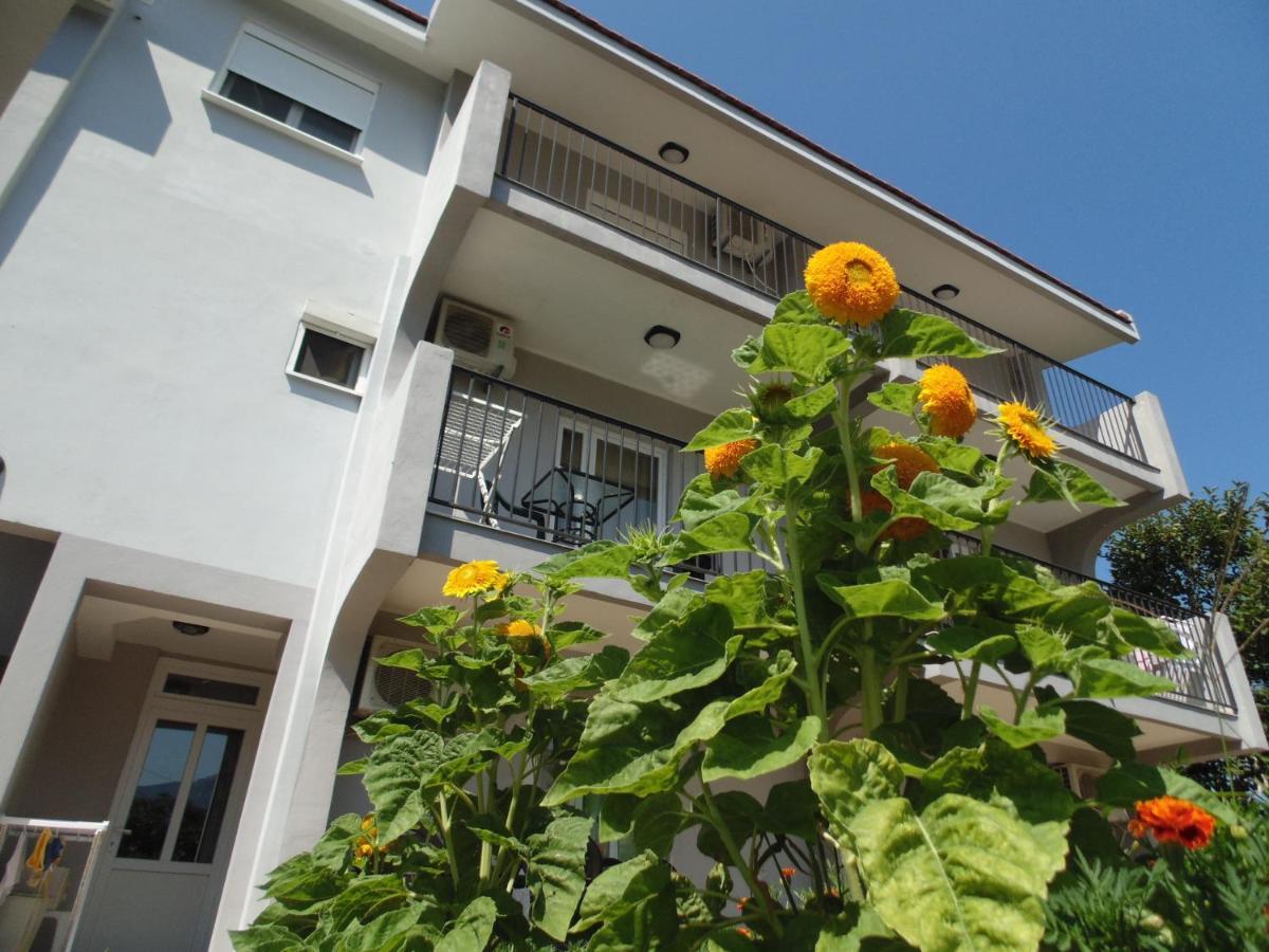 Apartments Macaso Bar Buitenkant foto